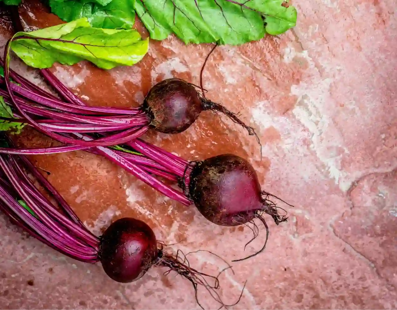 Fresh Beetroot.