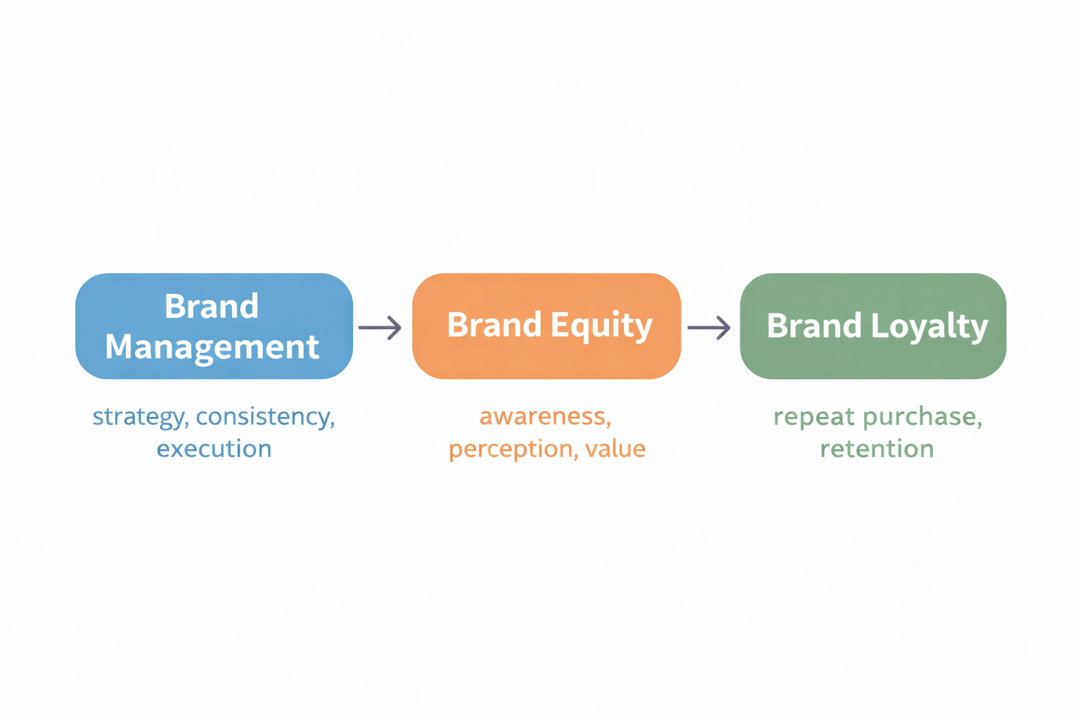 Brand management builds equity, which drives brand loyalty
