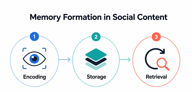 Encoding, storage, and retrieval shape how content is remembered