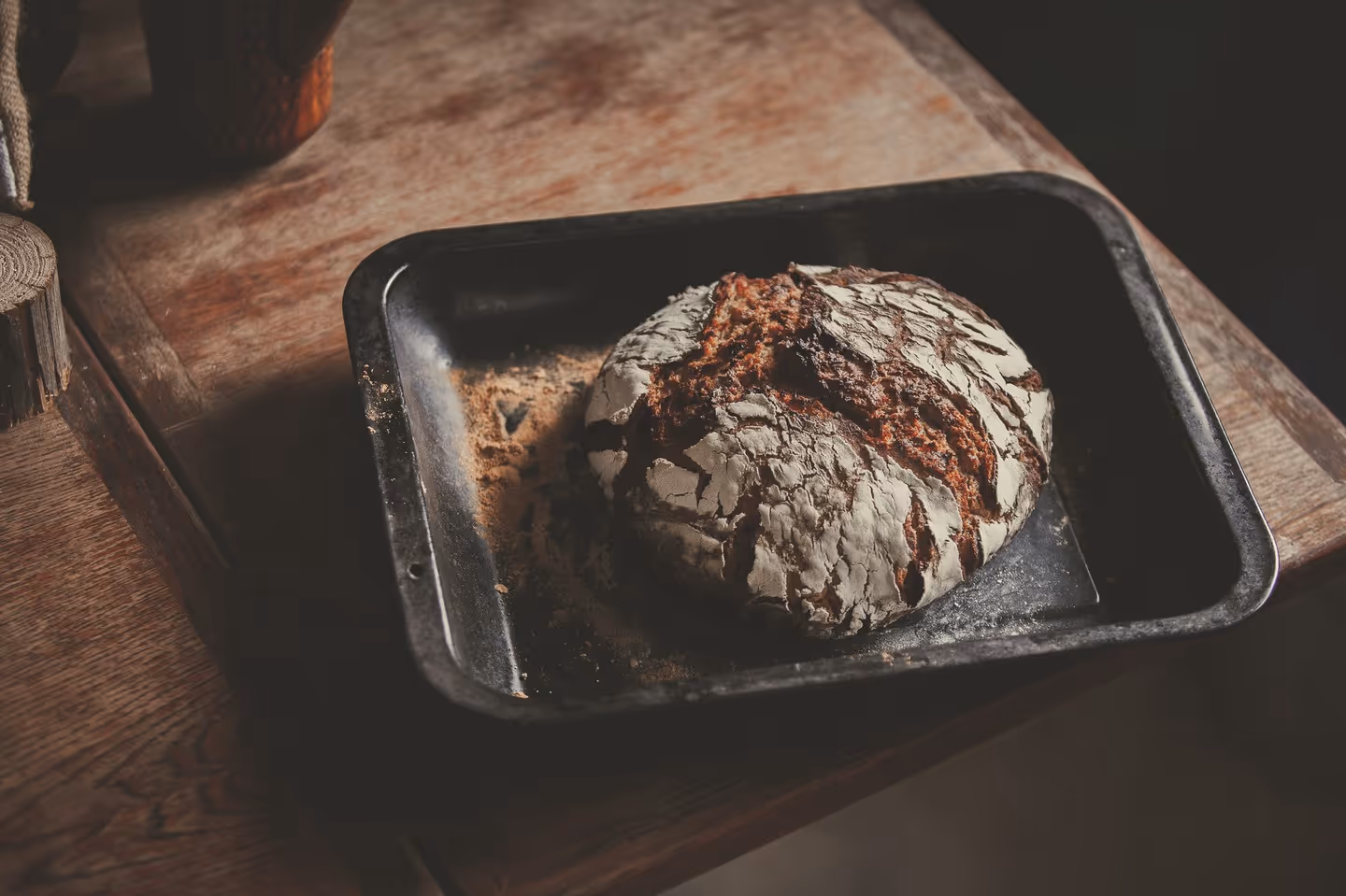 Jelonki 2 // kameralnie w dzikich chaszczach - chleb