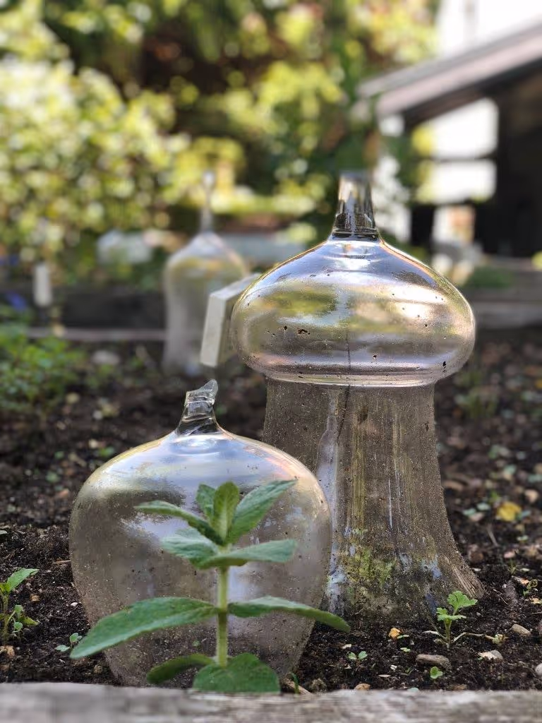 Przechowalnia Marzeń - ogródek