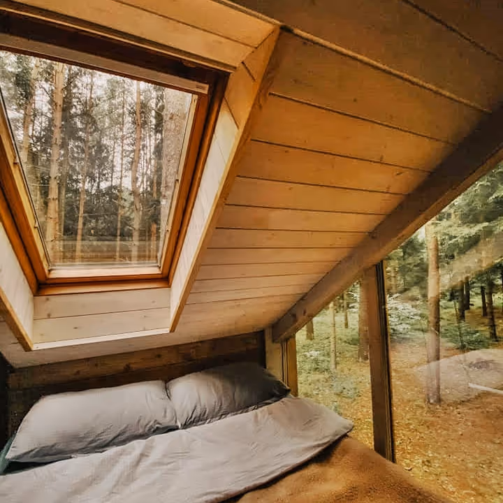 Getaway To Forest Cab