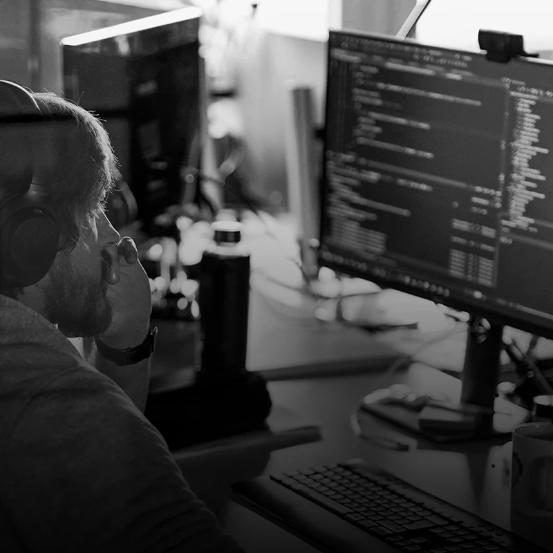 UI/UX Developer 