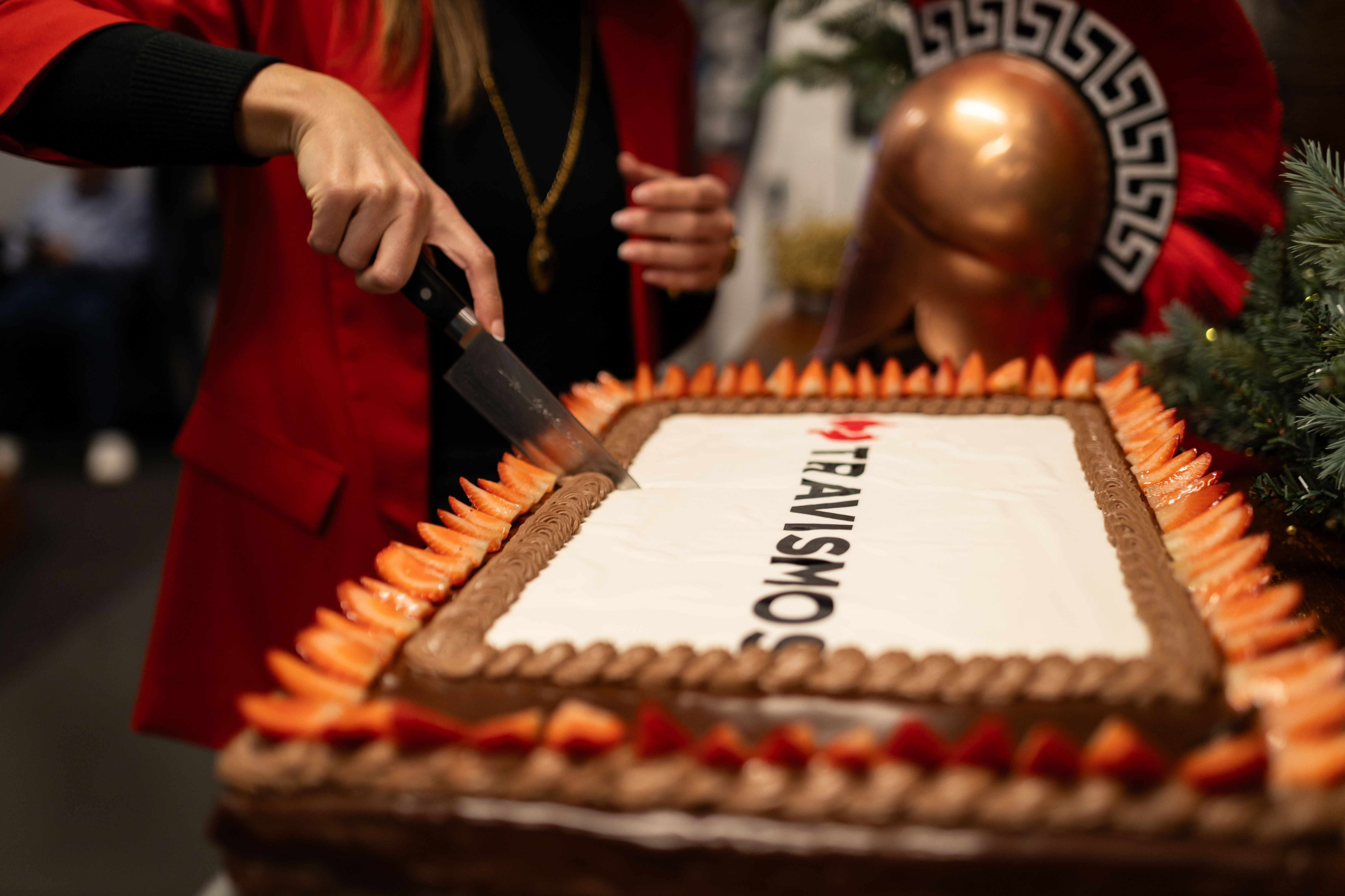 TRAVISMOS Project Successfully Concluded