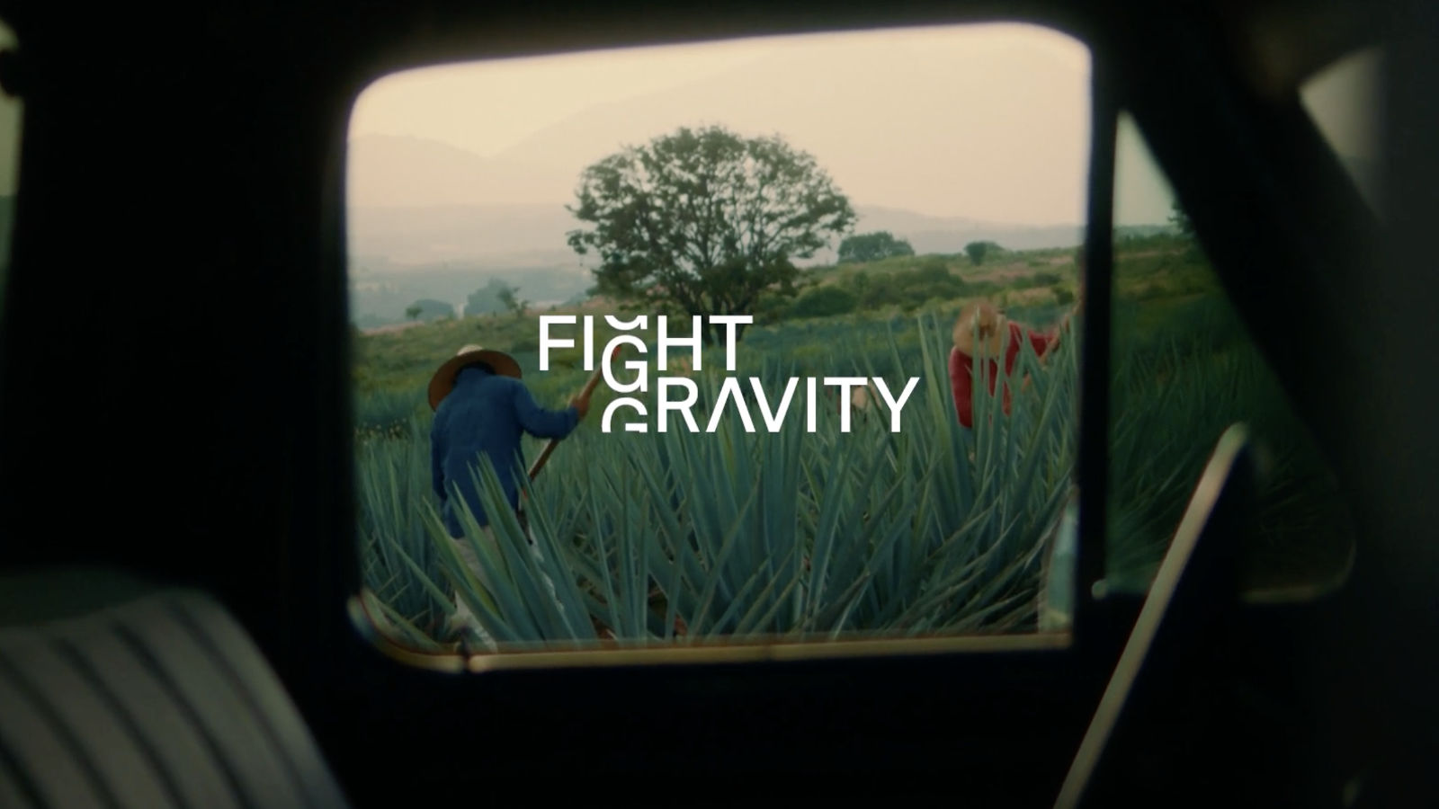 Fight Gravity