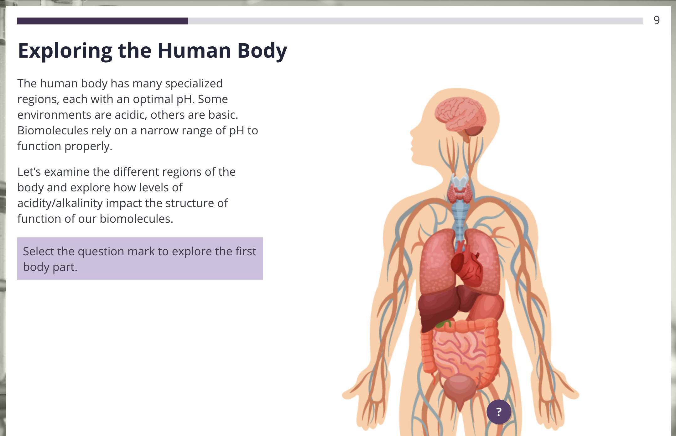 a screenshot of the unit 3 exploration displays a human body with a question mark button on the leg muscle