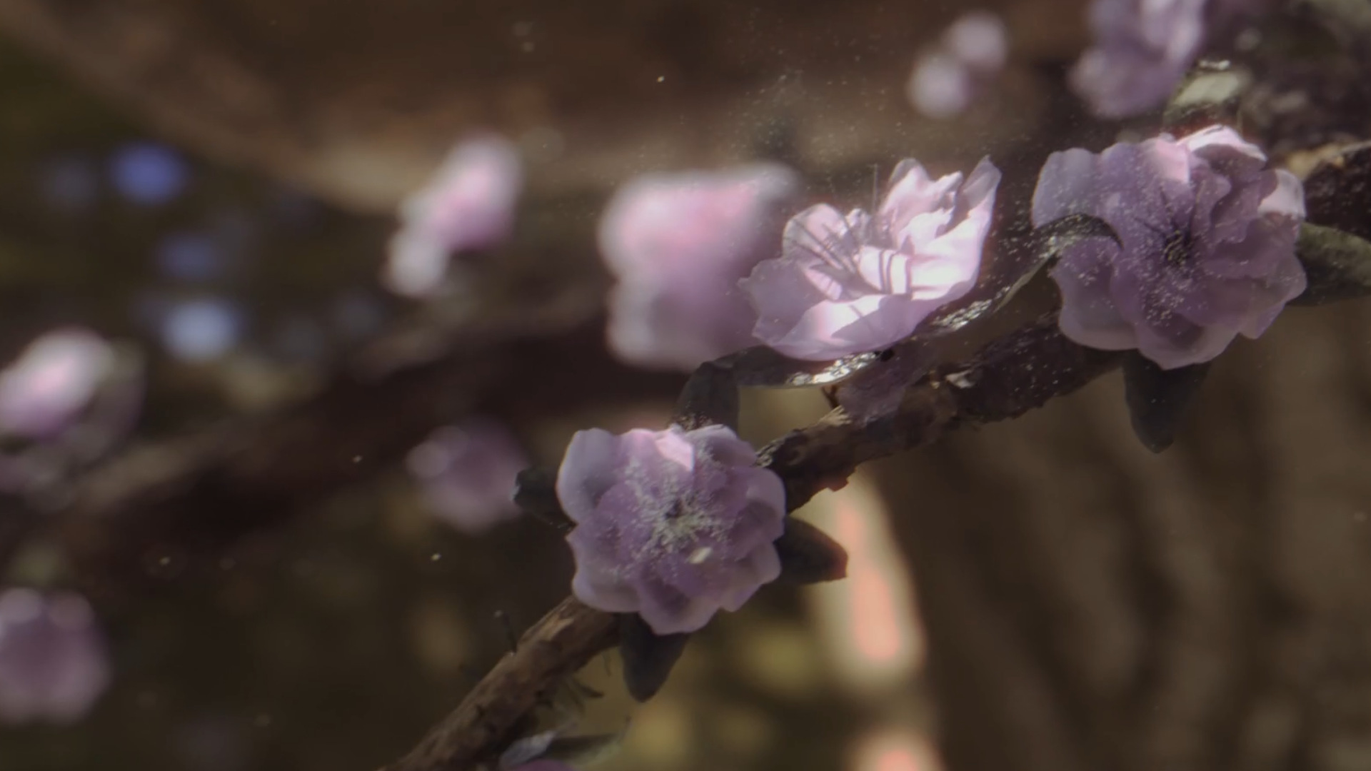 Texturing and lookdev still
