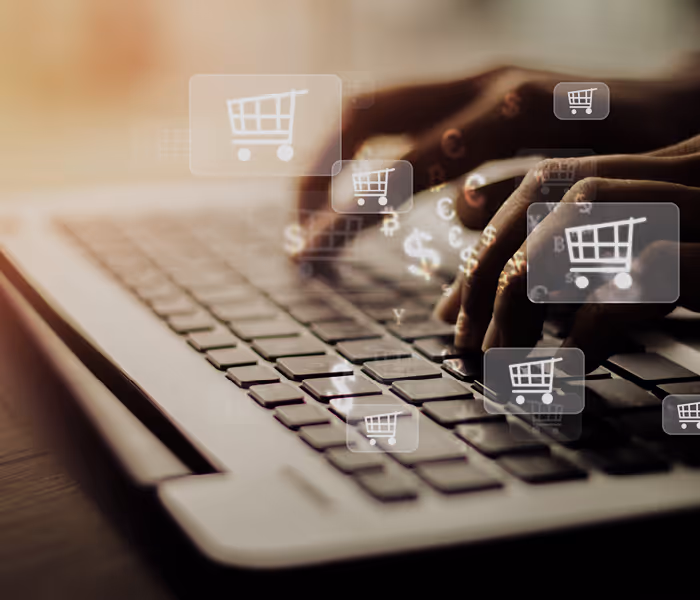 Payment Gateway vs. Payouts Gateway