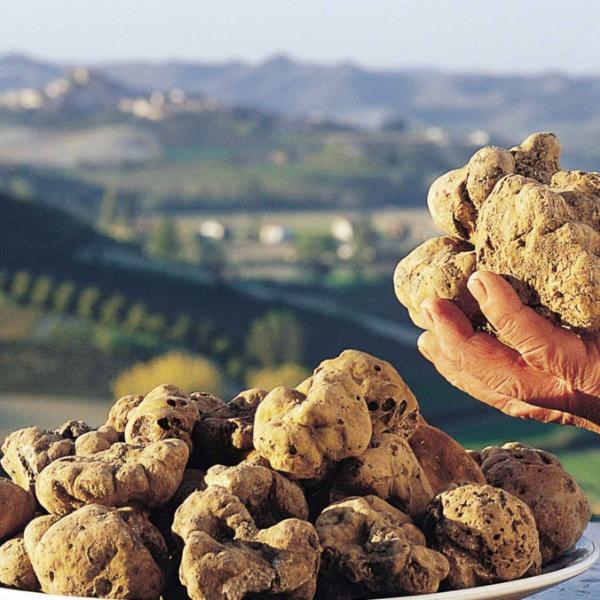 Italian Immersion Week in Tuscany
