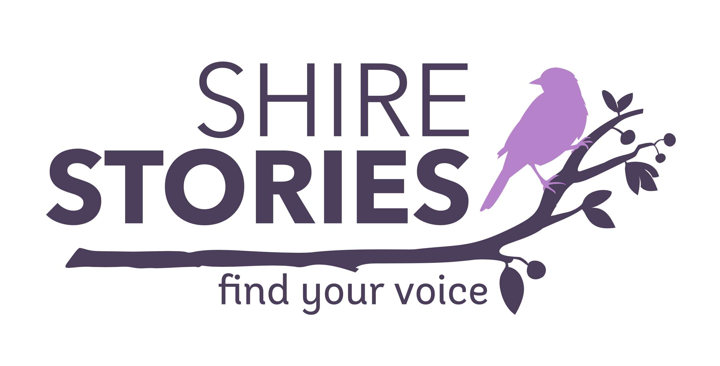 Sunday, Nov. 23rd: Planes, Trains and Automobiles stories