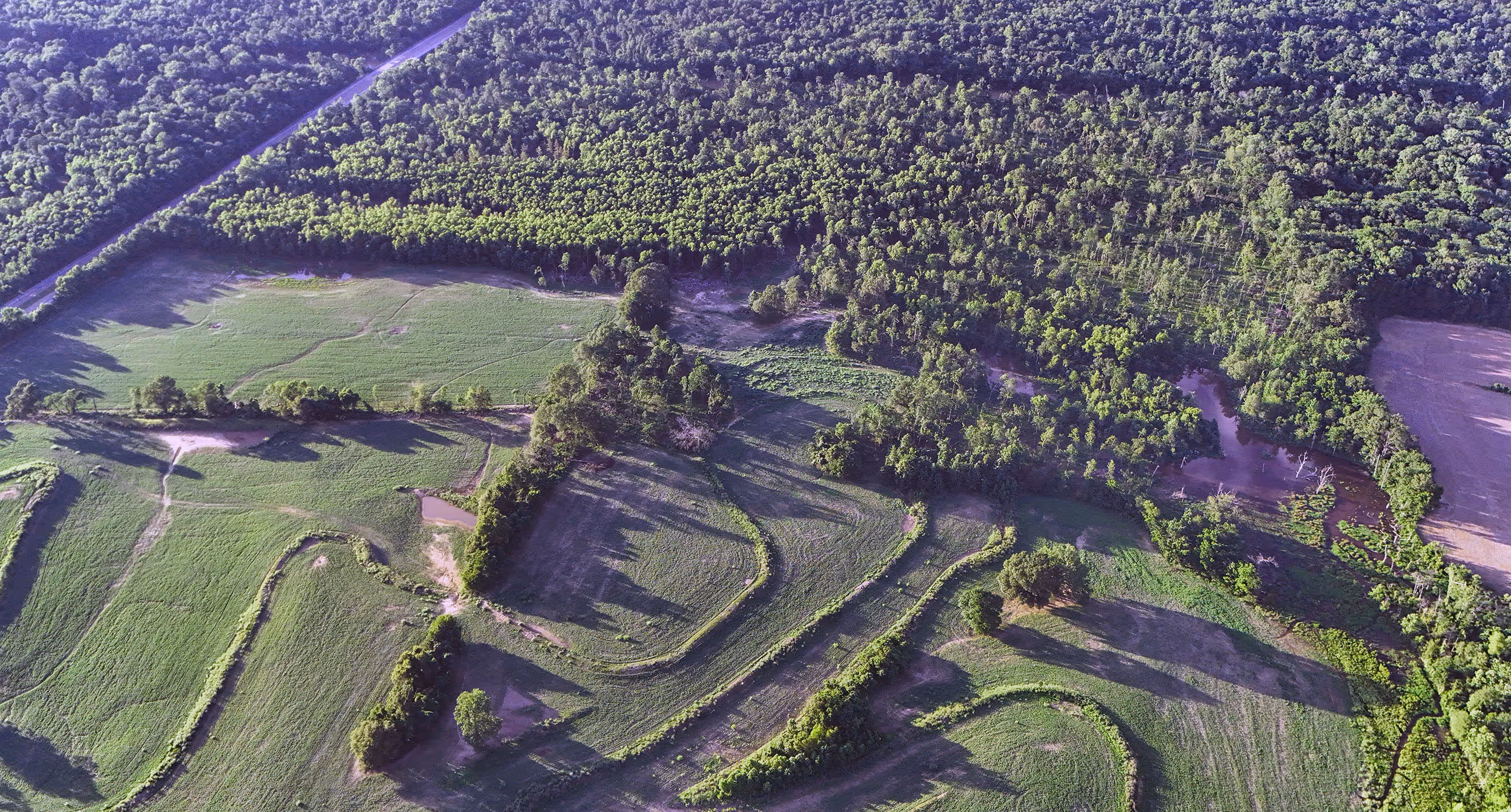 Bartlett Innovation Park Takes Shape, Paving the Way for New Jobs and Economic Growth