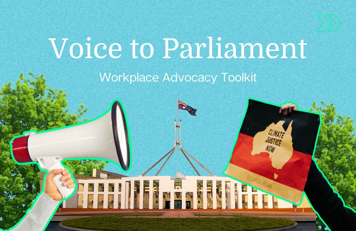 voice-to-parliament-toolkit