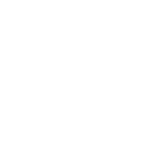 Flutter
