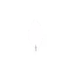 MongoDB