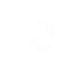 Nest.js