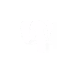 PostgreSQL