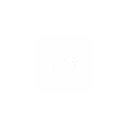 Webflow