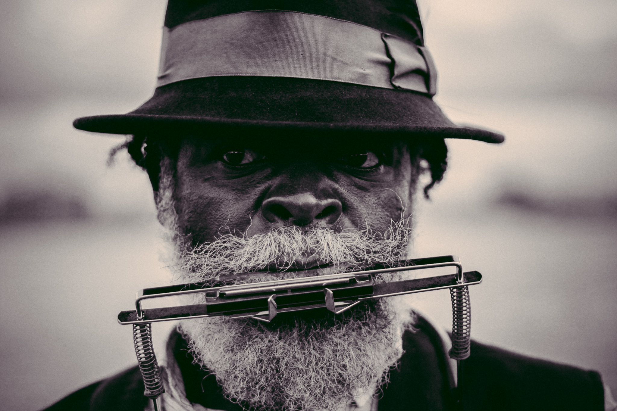 An old, black man with a white beard looks into the camera wearing gentleman's hat on his head and a harmonica resting on his harmonica neck brace