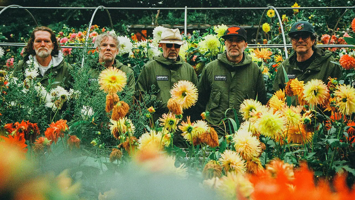Super Furry Animals