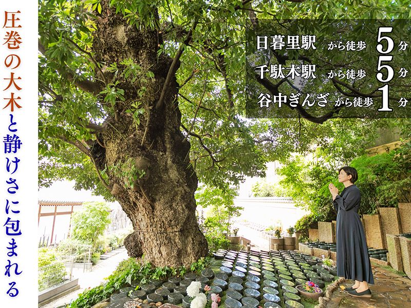 谷中樹陵 久遠・長明寺樹木葬