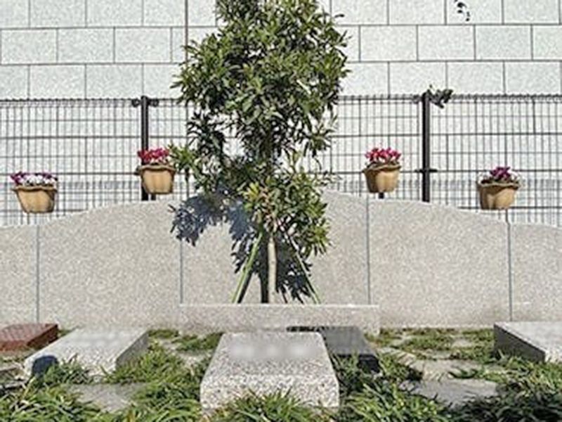 外苑こもれびの杜