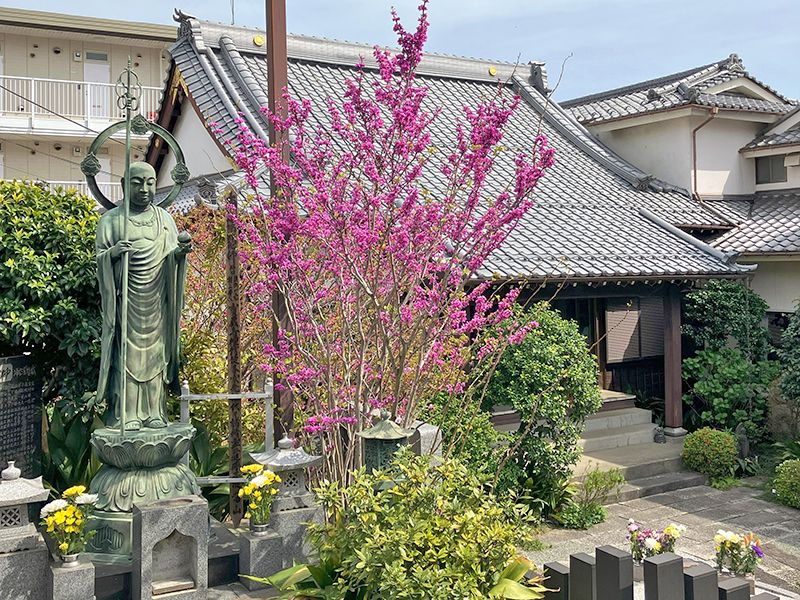 樹木葬「わごころ」 白金こもれびの杜