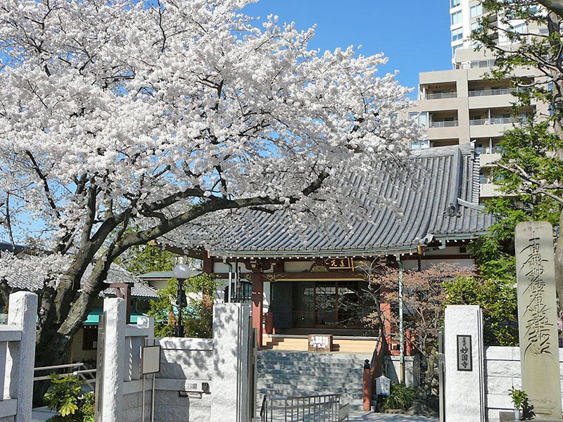 表参道 樹木葬 けやきガーデン