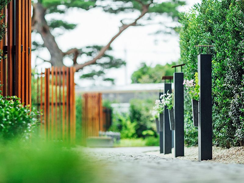 世田谷自然の杜