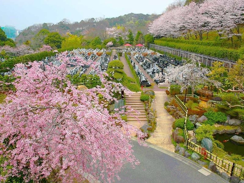 メモリアルフォレスト多摩