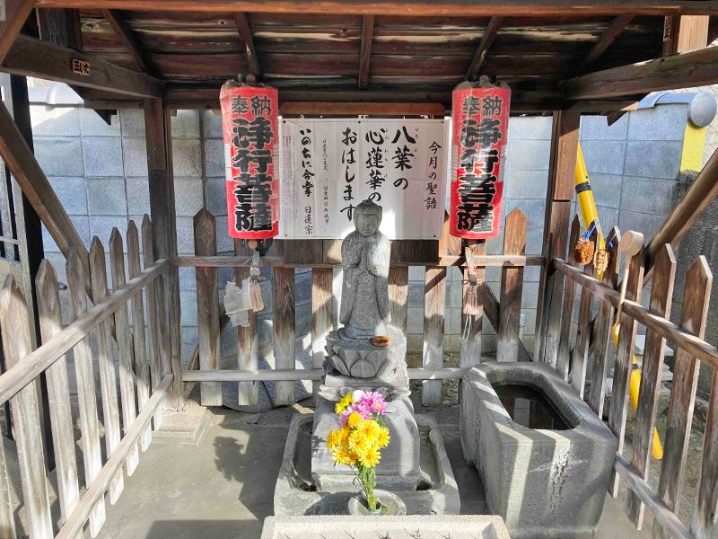 樹木葬「新宿アルベリ」