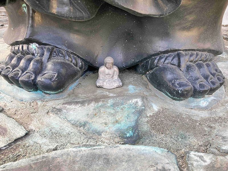 樹木葬「新宿アルベリ」