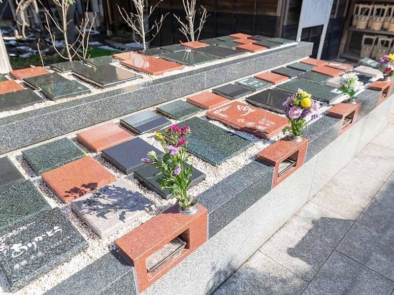 小さな森の樹木葬 上野