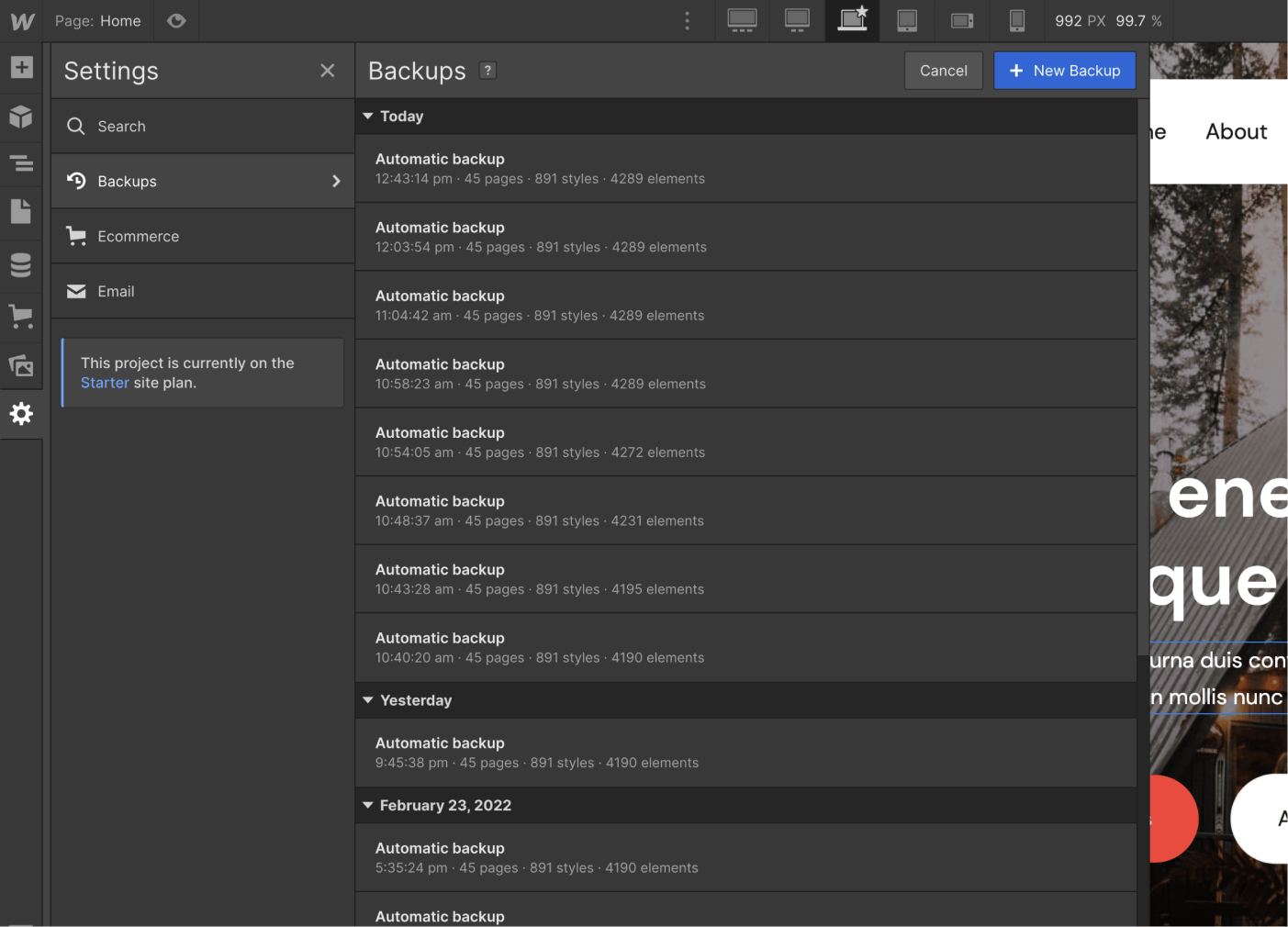 Backsup - Rental X Webflow Template