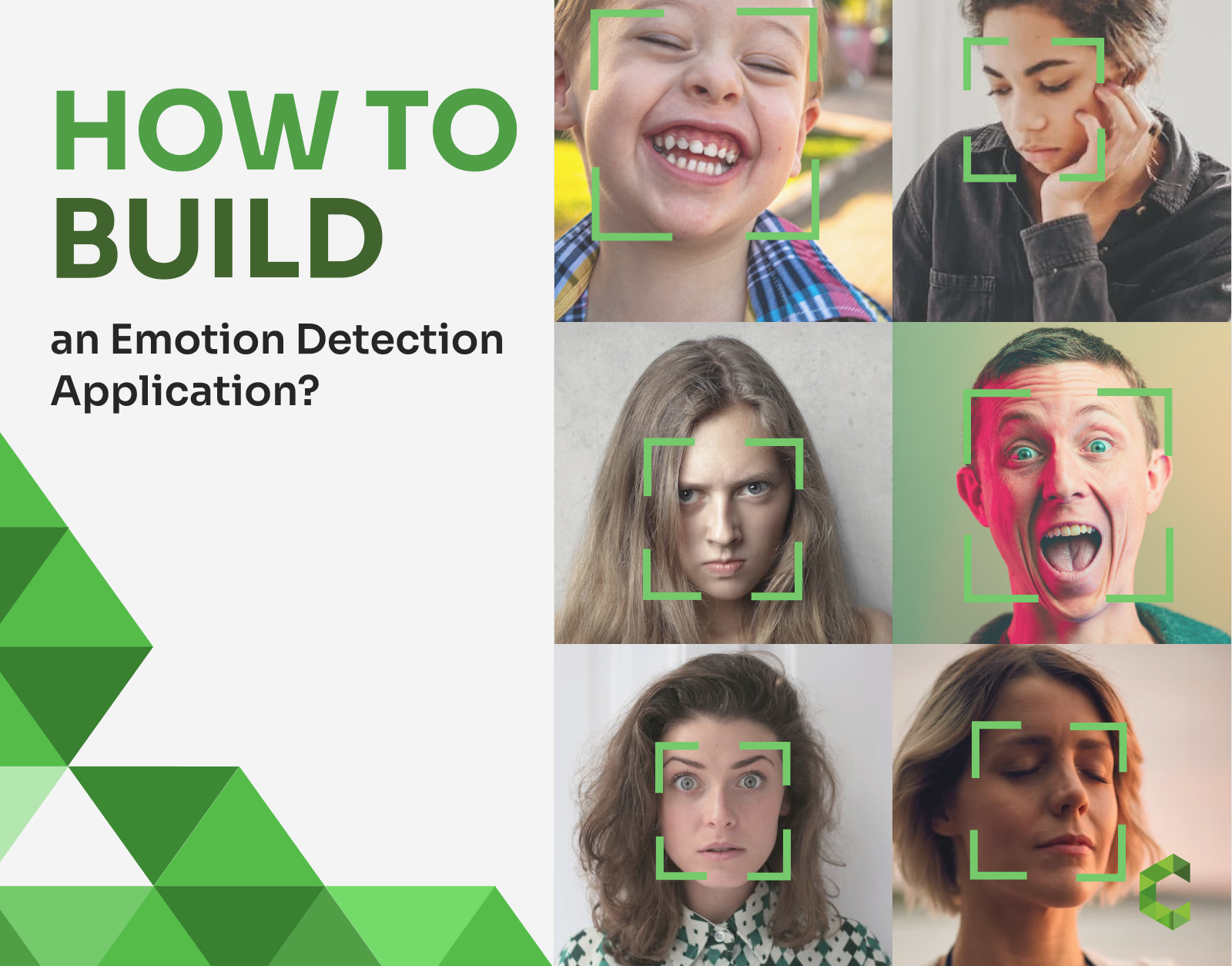 How to Build an Emotion Detection Application?