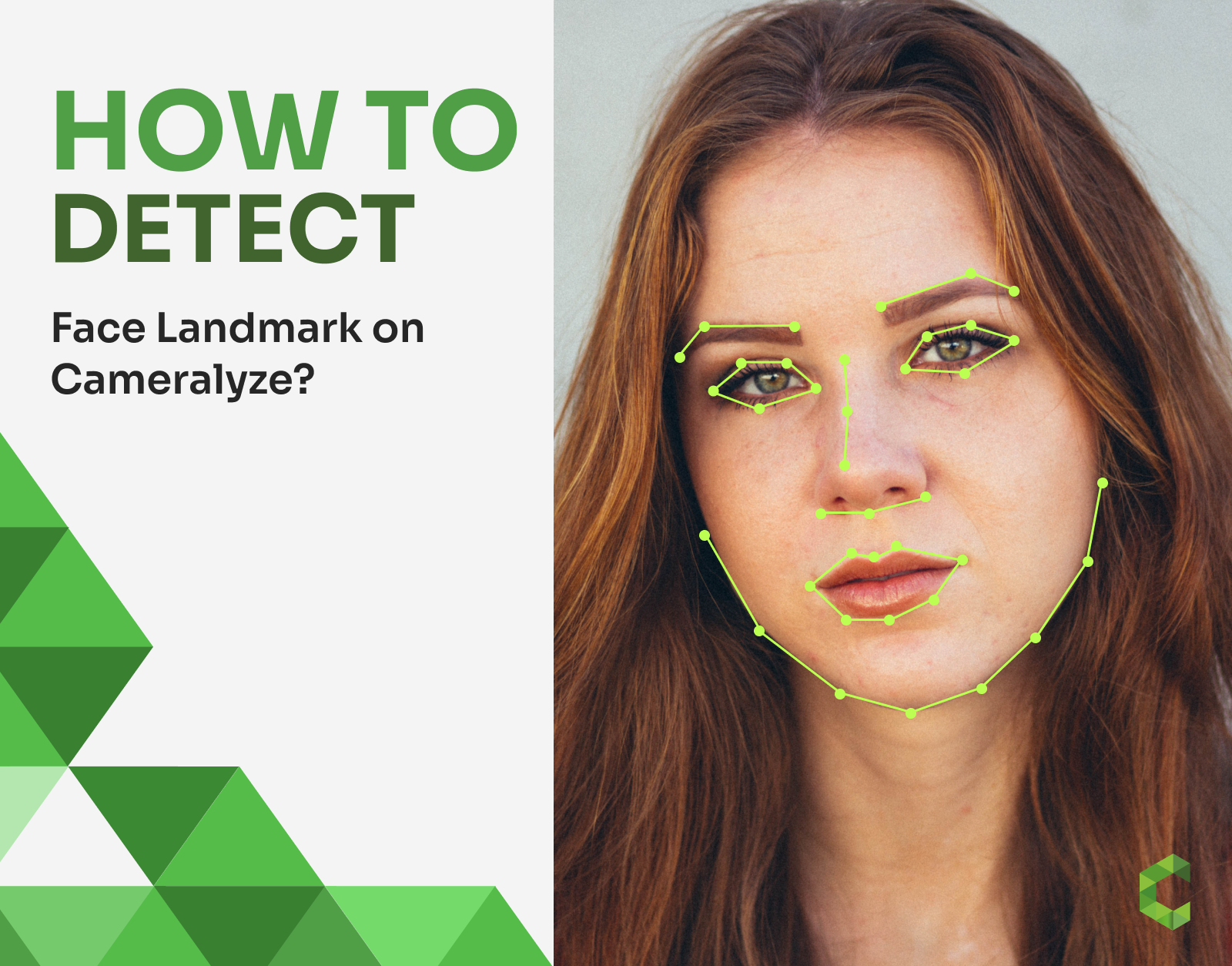 How to Detect Face Landmark on Cameralyze?