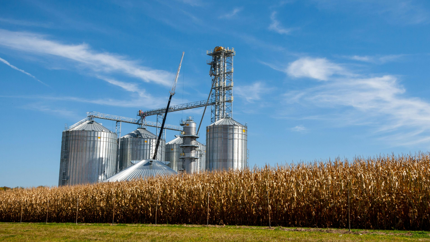 Niveaumessung/Füllstandmessung von Getreide in Silos