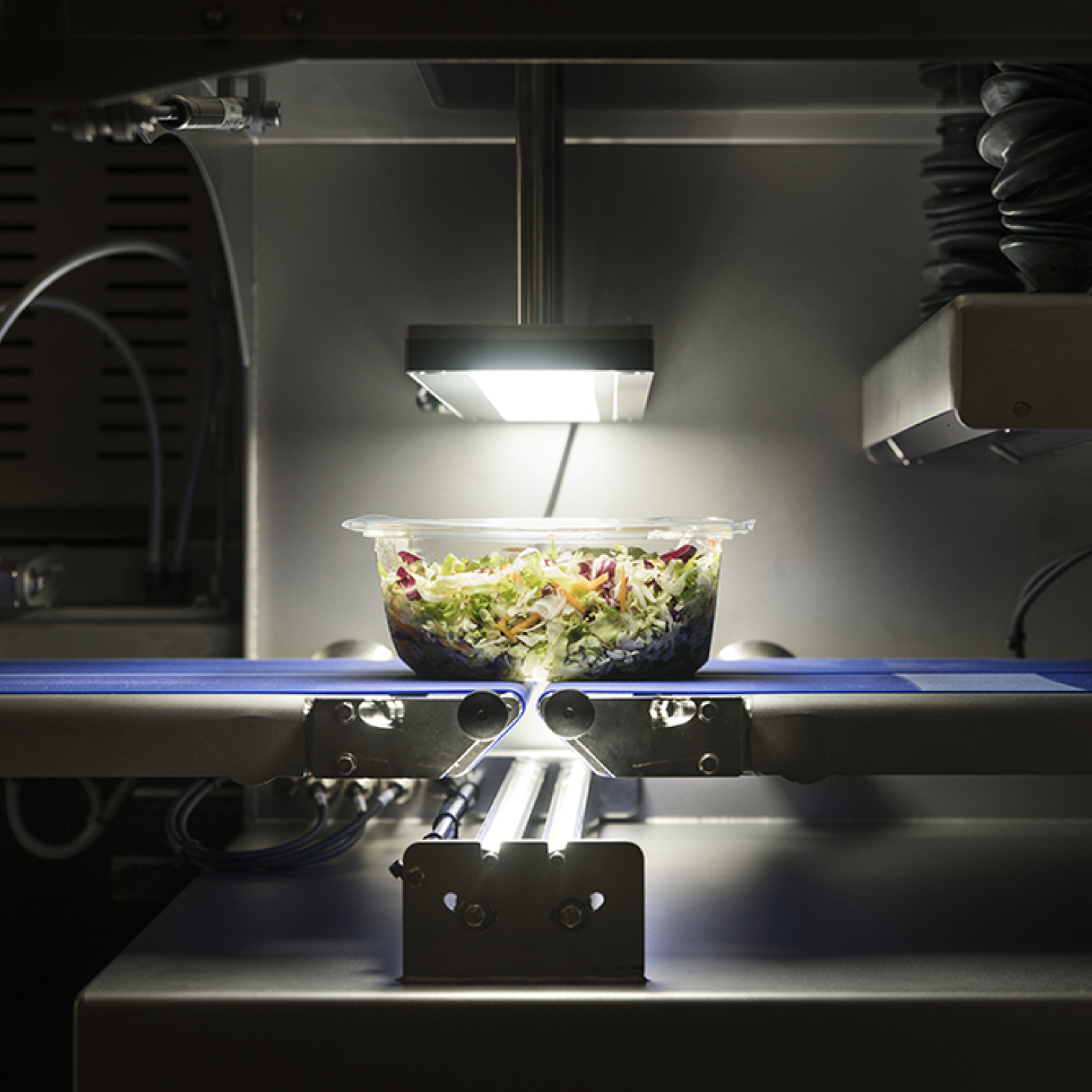 Vision-System Querschnitt. Sicht auf die Beleuchtung, Kamera und den Aufbau des Innenraums