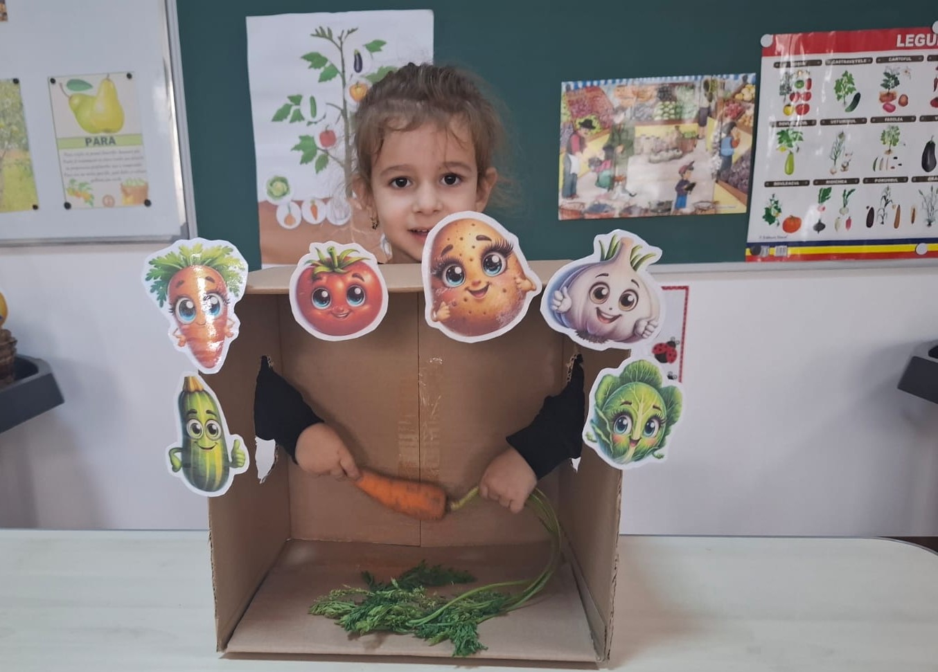 Preschool Education for All