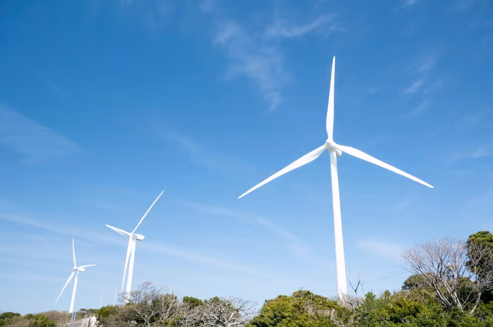 Trois grandes éoliennes blanches dominant les arbres verts sous un ciel bleu.