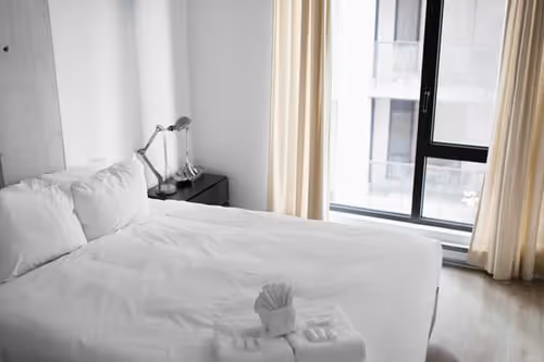 Preventing Bed Bugs All Year