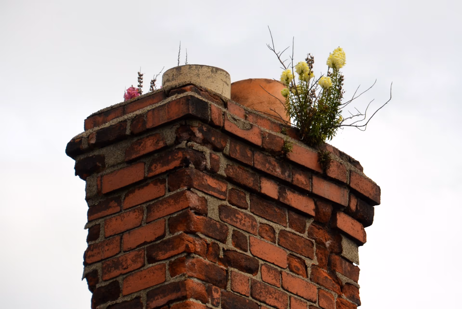 Summer Chimney Inspections for Fall Pest Prevention