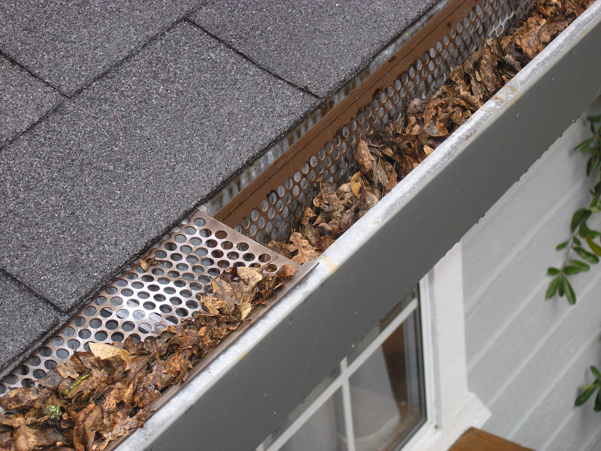 Gutters Need Cleaning? Try our New Gutter Cleaning Service!