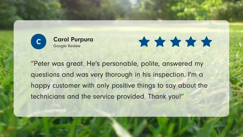 Google review from Carol Purpura: Praises Peter's personable and thorough service, 5-star rating on grassy background.