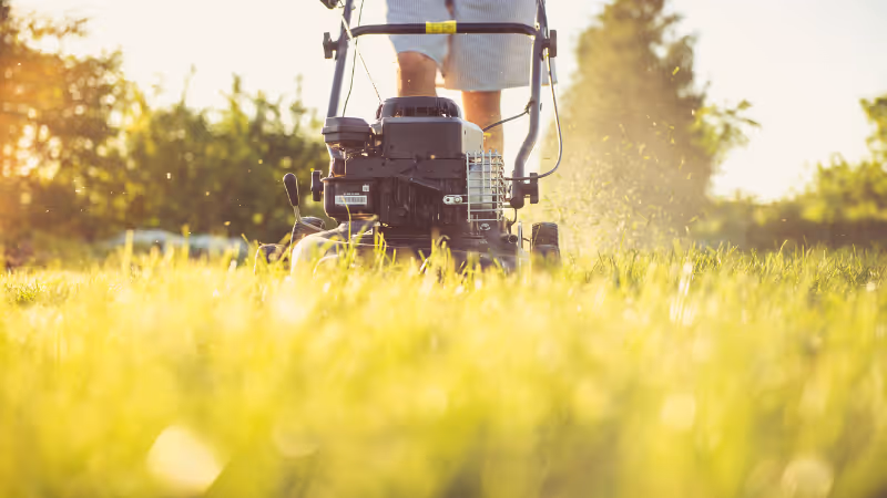 A person mowing their lawn during the summer