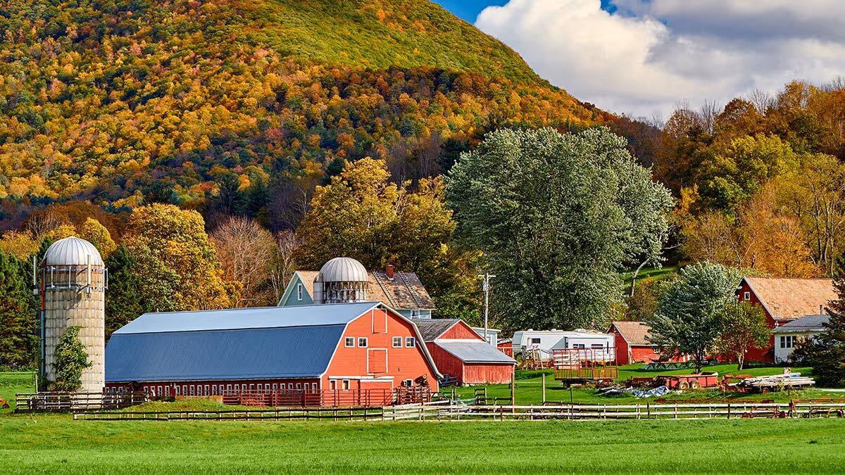 Red barns and silos on a green farm with trees and a forested hill in the background under a partly cloudy sky.