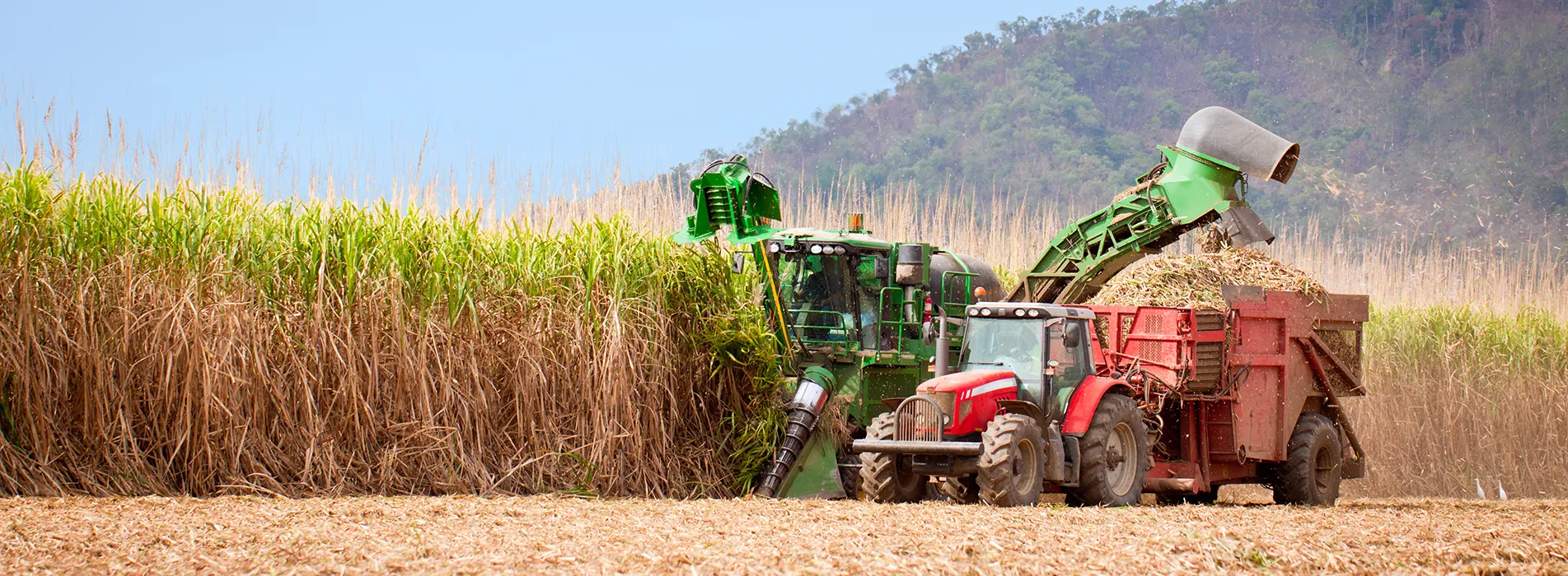 TESTIMONIAL FROM SUGARCANE GROWER