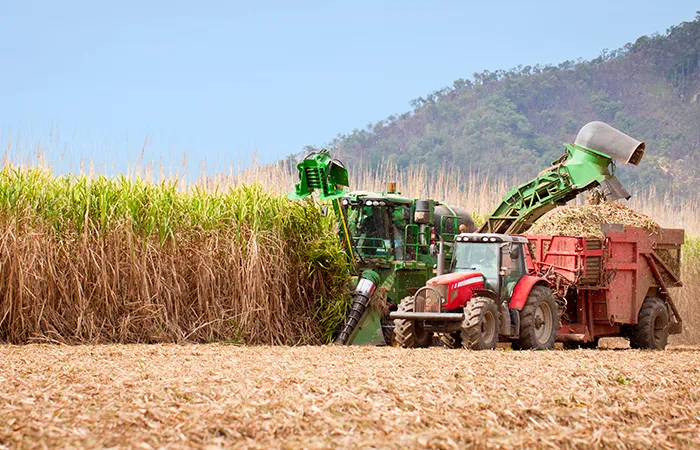 TESTIMONIAL FROM SUGARCANE GROWER