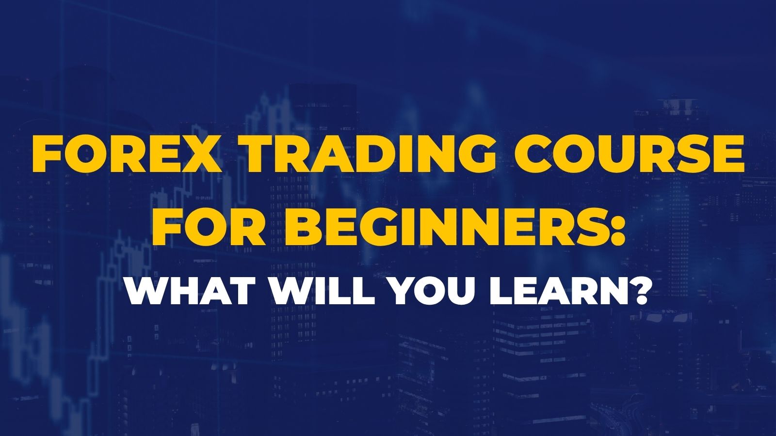 Forex Trading Course for Beginners: What Will You Learn?