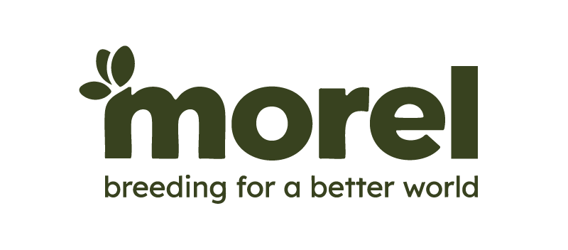 AriseHealth logo