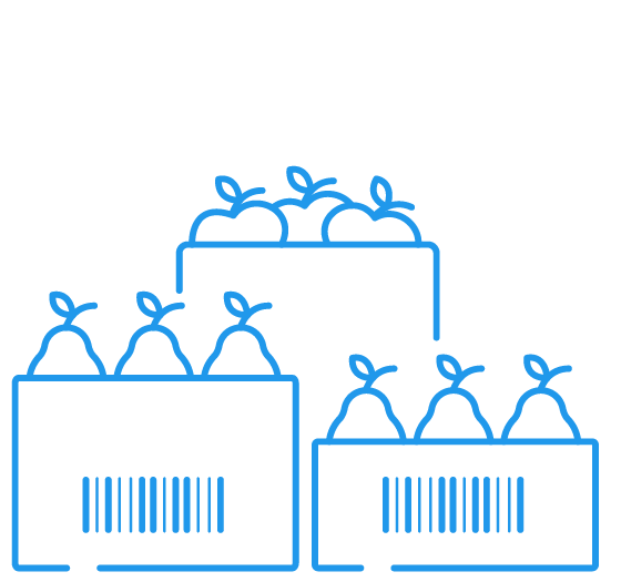 Boxes of pears with barcodes icon